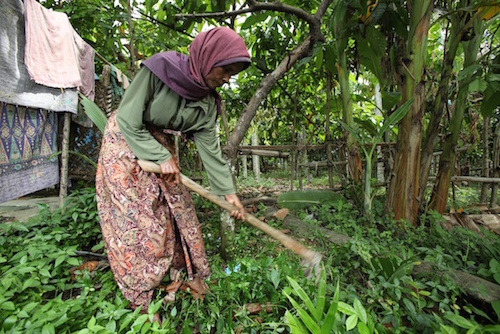Rukiah working to feed her family - Anne-Cecile Esteve for Asia Justice and Rights (AJAR)